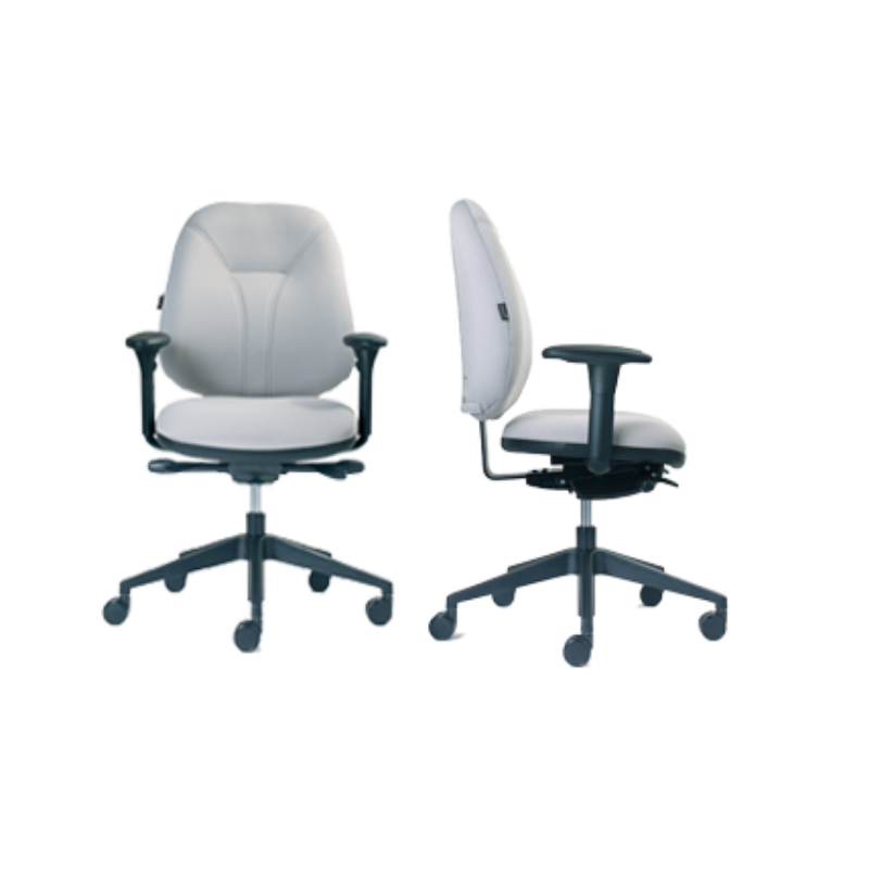 Chaise ergonomique Spinal 300