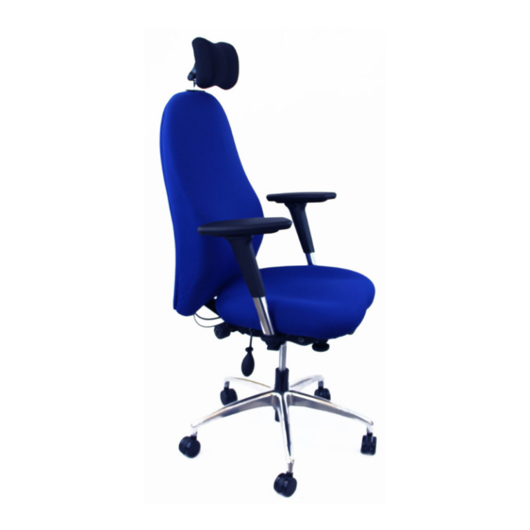 Chaise ergonomique Soma Bleu appui tête dorsalgie AlbionChair