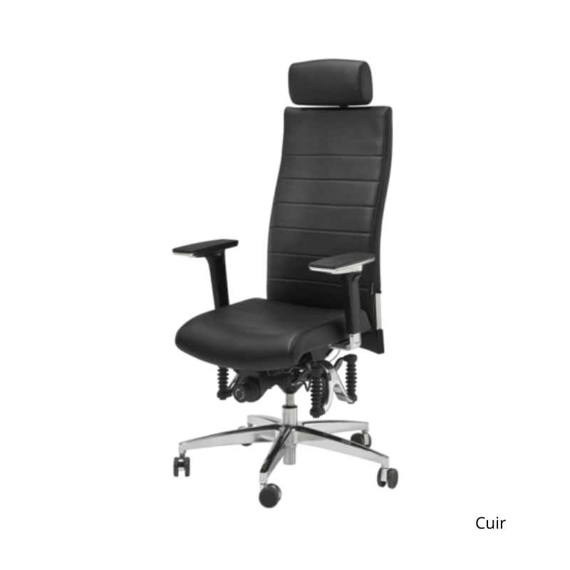 Haider Bioswing 670 iQ siege cuir Gestion