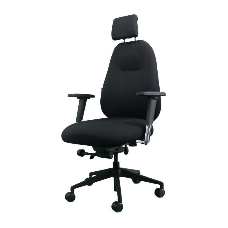 Fauteuil ergonomique Spinal 500 Noir avec Appui Tête