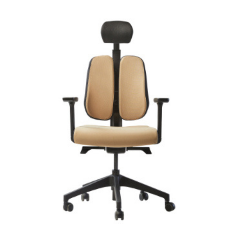 Fauteuil D2R Indépendant double dossier modulable