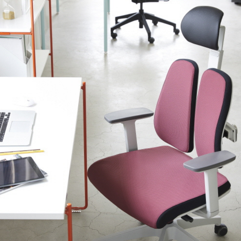 Fauteuil D2R Indépendant double dossier modulable