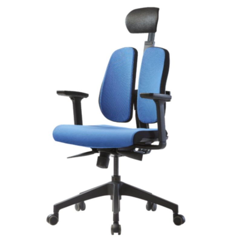 Fauteuil D2R Indépendant double dossier modulable