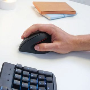 Souris verticale large Perimice 718