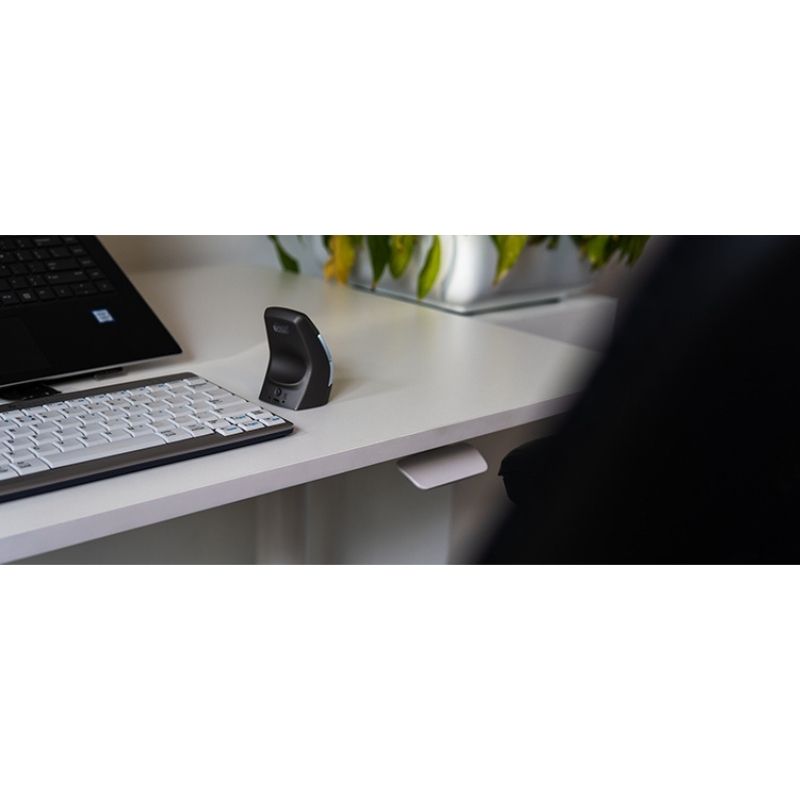 Bureau ergonomique Desk Home