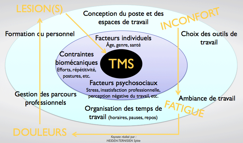 Facteurs des TMS