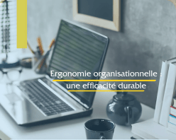 ergomie organisationnelle