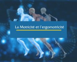 motricité et ergomotricité