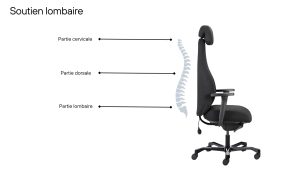 siège ergonomique NEWEQ